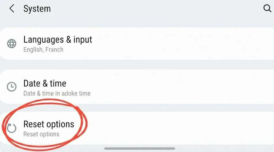 Select Reset Options